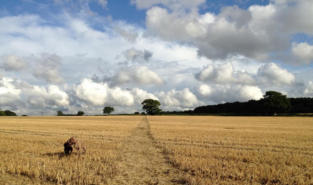 9th September taken by Pauline Taylor